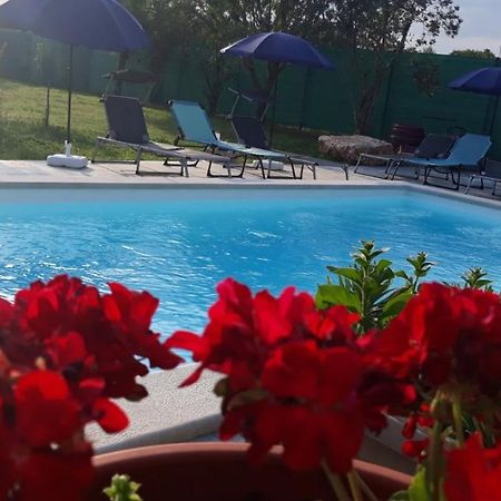Holiday Home Dioniza Vodnjan Kültér fotó