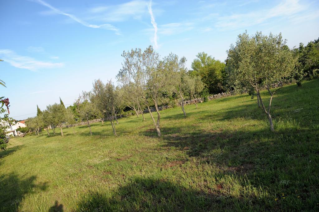 Holiday Home Dioniza Vodnjan Szoba fotó
